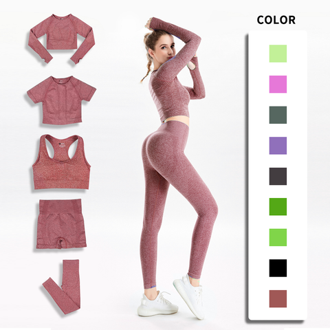 Women Seamless Yoga Set