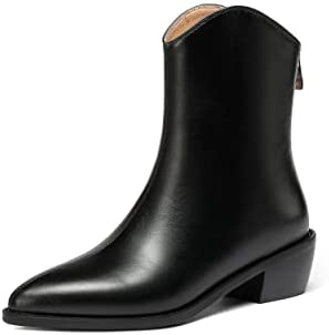 WAYDERNS Women's Zip Pointed Toe Matte Chunky Low Heel Ankle High Knight Boots 2 Inch