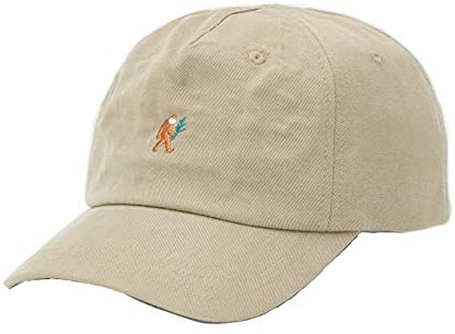 Adjustable Snapback Embroidered Dad Hat