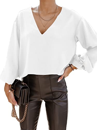 Zwurew Women's V-Neck Long Sleeves Elegant Blouse Solid Casual Office Workwear Basic Tunic Tops