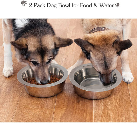 2 Pack Stainless Steel Slow Feeder Dog