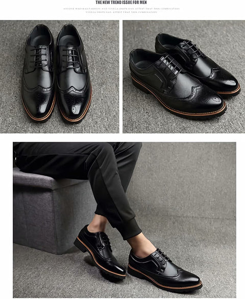 QZHIHE Men's Classic Modern Oxford Wingtip Lace Dress Shoes